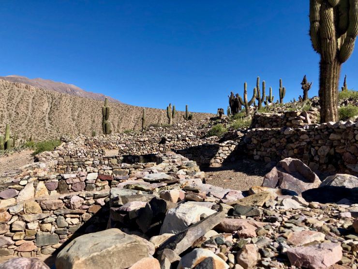 Cactus Candelabres et vieilles pierres - Pucara de Tilcara - Nordeste - Argentine
