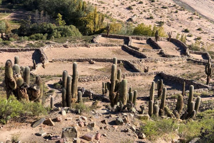 Cactus Candelabres et vieilles pierres - Pucara de Tilcara - Nordeste - Argentine