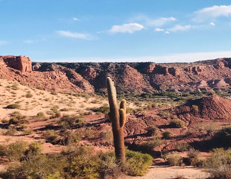 Parque Nacional Los Cardones - Camino de Los Colorados - Noroeste - Argentine