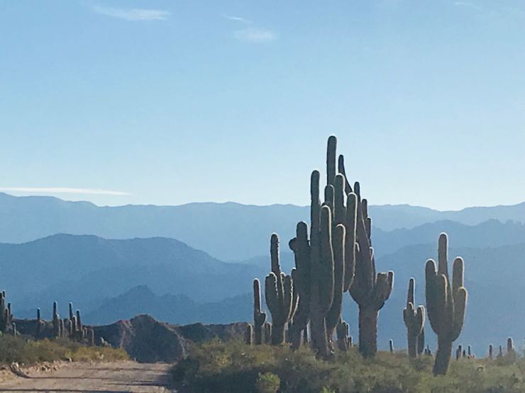 Parque Nacional Los Cardones - Camino de Los Colorados - Noroeste - Argentine