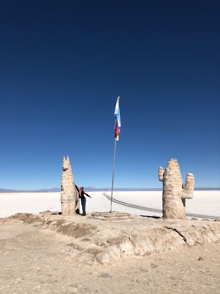 Lama et cactus de sel - Salinas Grandes - Nordeste - Argentine
