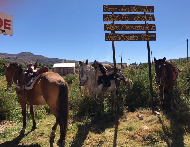 Parking à chevaux - Uquia - Nordeste - Argentine
