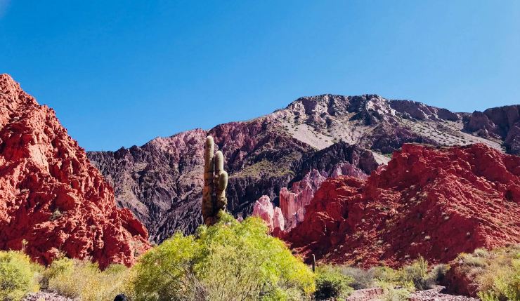 Au fond de la Quebrada de la senoritas - Uquia - Nordeste - Argentine