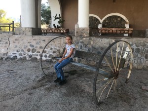 Finca Del Carmen - Noroeste - Argentine