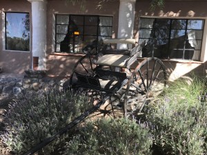 Finca Del Carmen - Noroeste - Argentine