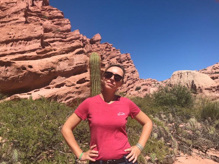 Los Colorados - Quebrada Las Conchas - Noroeste - Argentine