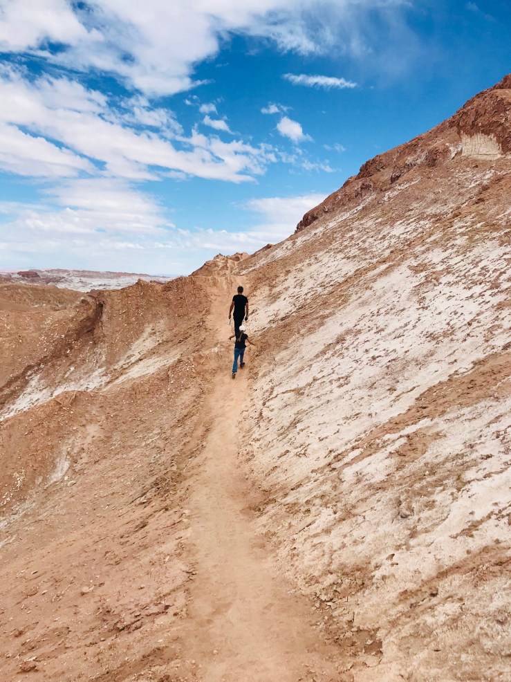 Vallée de la lune - Désert d'Atacama - Chili