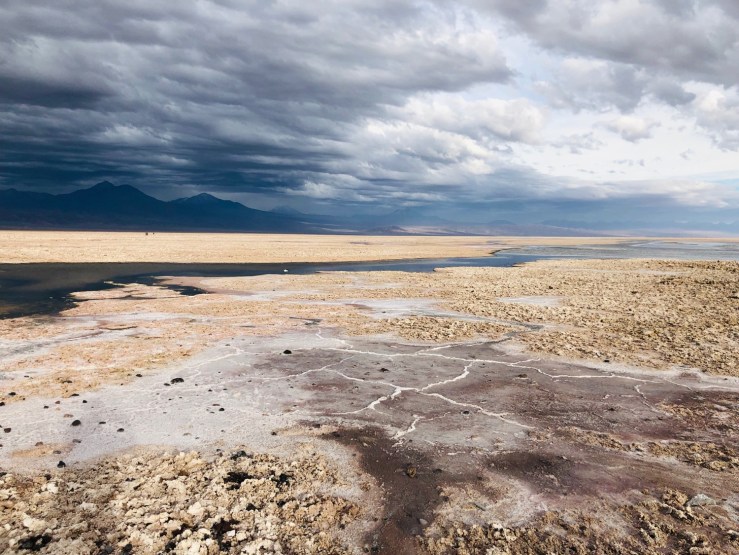 Laguna Chaxa - Salar d'Atacama - Chili