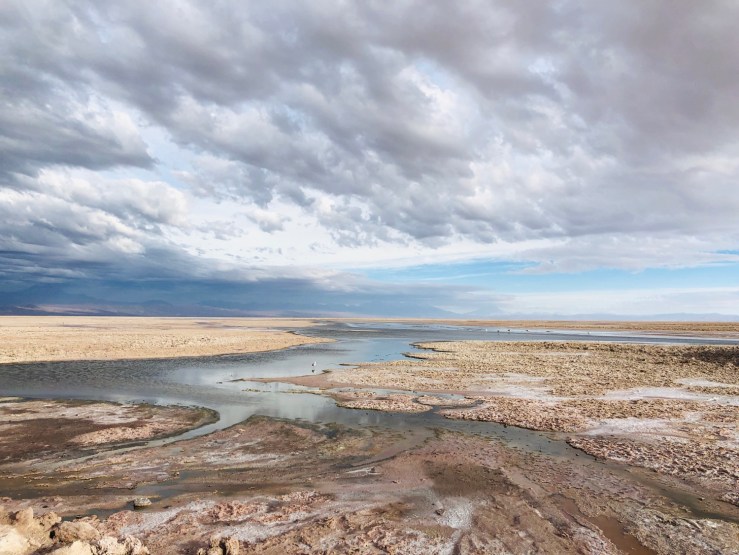 Laguna Chaxa - Salar d'Atacama - Chili