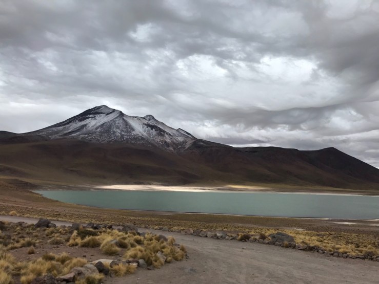 Laguna Miscanti - Désert d'Atacama - Chili