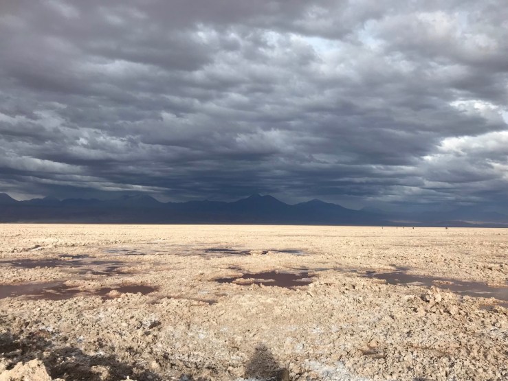 Salar d'Atacama- Désert d'Atacama - Chili