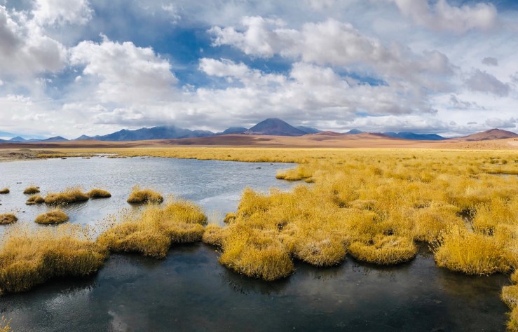 Altiplano - Désert d'Atacama - Chili