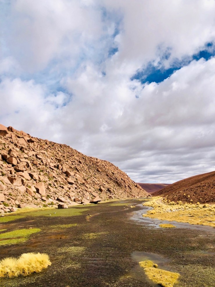 Altiplano- Désert d'Atacama - Chili