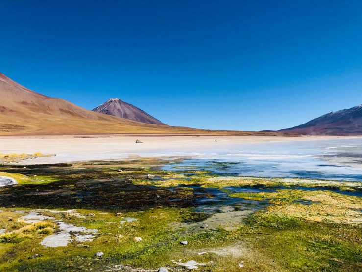 Laguna Blanca - Sud Lipez - Bolivie