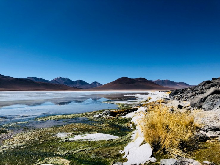 Laguna Blanca - Sud Lipez - Bolivie