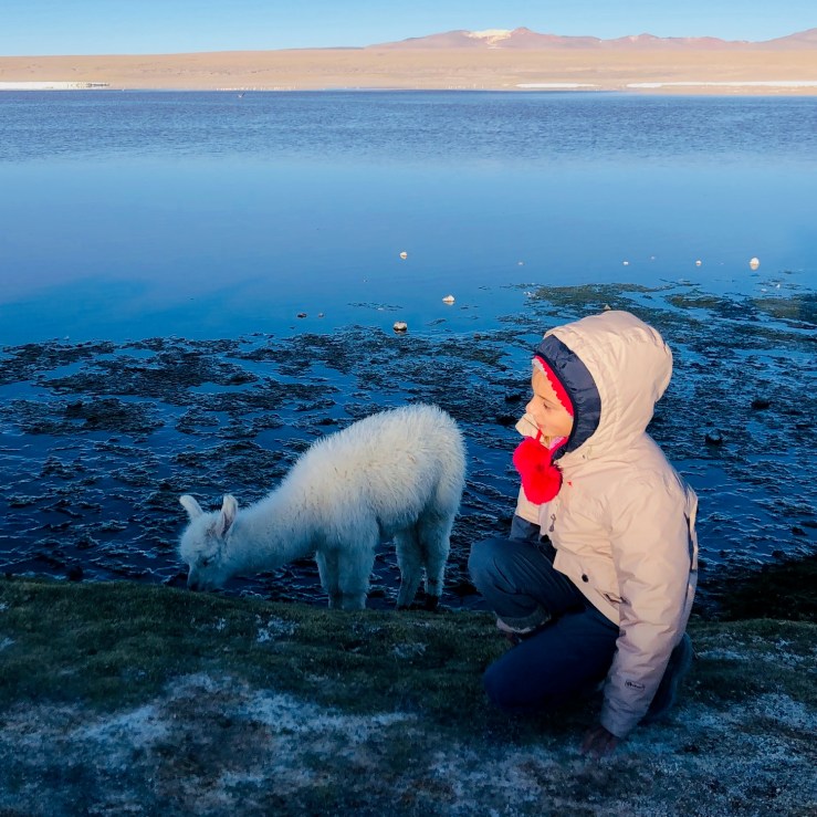 Laguna Colorada - Sud Lipez - Bolivie