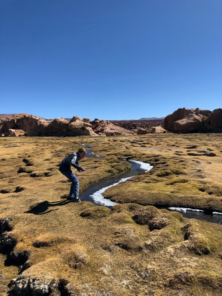 Laguna Misteriosa - Bofedales- Sud Lipez - Bolivie