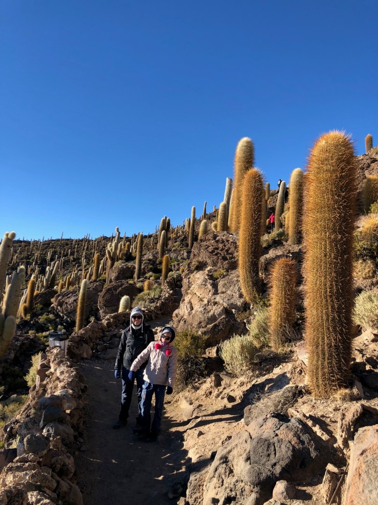 Isla Incahuasi - Salar d'Uyuni - Bolivie