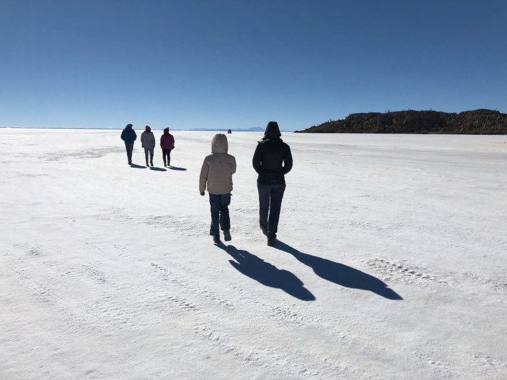 Autour de la Isla Incahuasi - Salar d'Uyuni - Bolivie