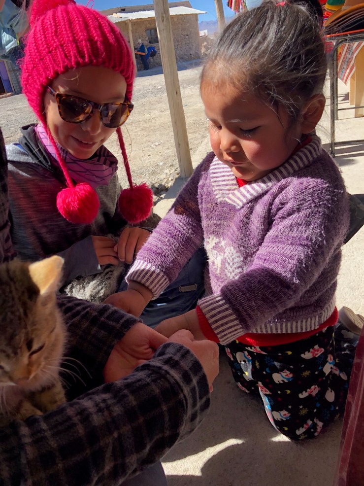Eden s'est fait une copine ! - Près du Salar d'Uyuni - Bolivie
