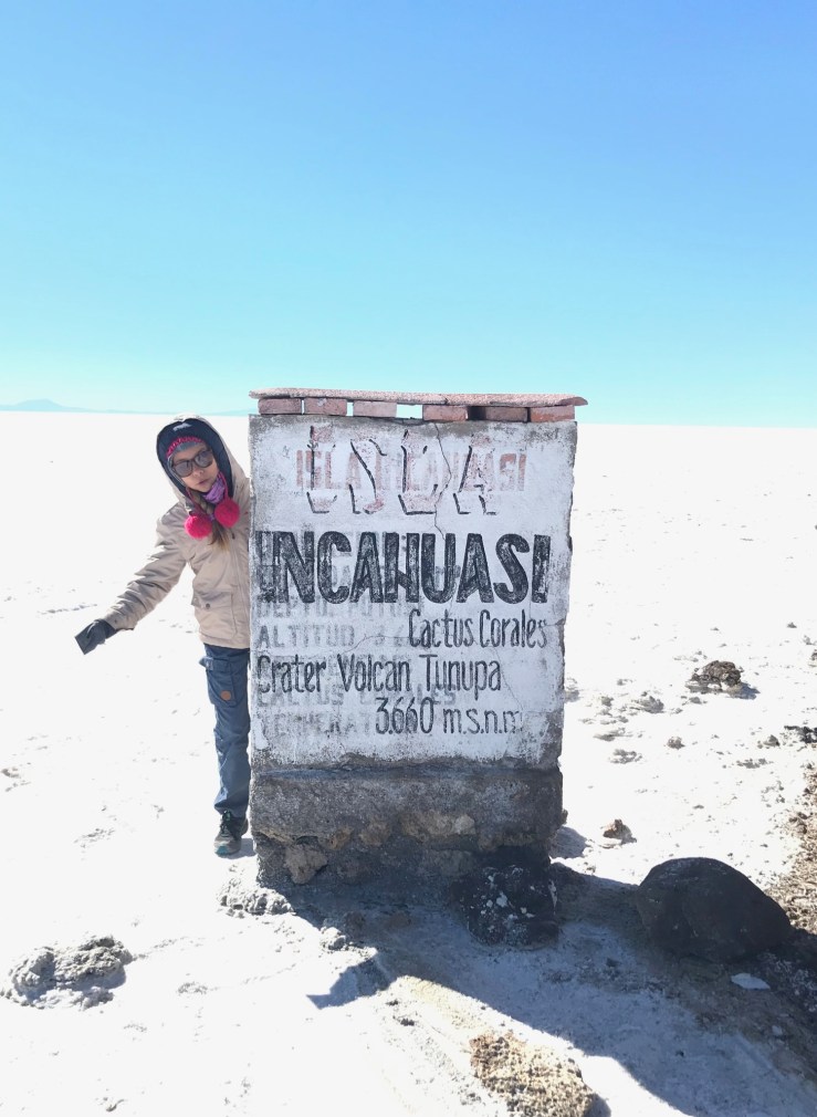 Autour de la Isla Incahuasi - Salar d'Uyuni - Bolivie