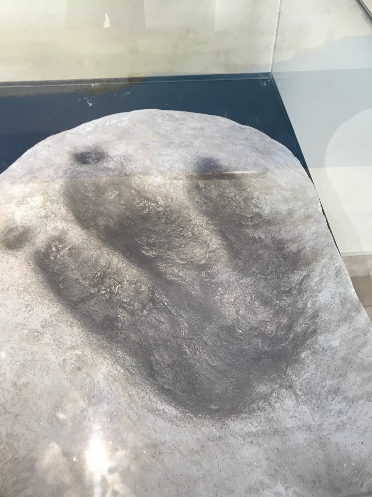 Empreinte de Dinosaure (reconstitution) - Parque Cretacico - Sucre - Bolivie